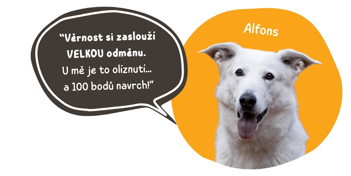 alfons_vernost_body